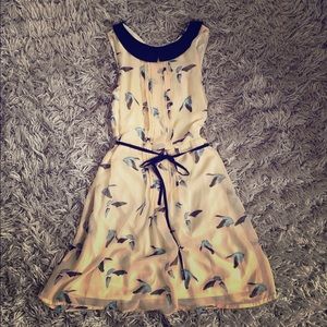 Zara women dress with peter pan collar XS